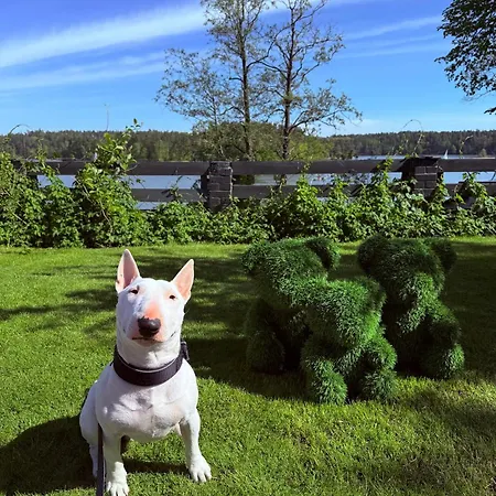 Dom Wiejska 39 A Kwatera prywatna *