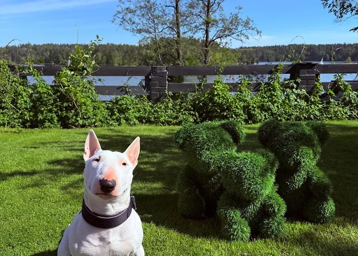 Dom Wiejska 39 A Habitación en casa particular *